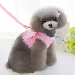 Guia para coleira de cachorro e gato, pequeno, pérola, fofo, asas de anjo, princesa, pet, cachorros, correias ajustáveis