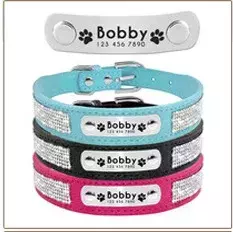 Coleira e coleira de cachorro personalizada, couro acolchoado, coleiras gravadas personalizadas, conjunto de corda de chumbo, buldogue pitbull - comprar online