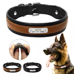 Coleira e coleira de cachorro personalizada, couro acolchoado, coleiras gravadas personalizadas, conjunto de corda de chumbo, buldogue pitbull na internet