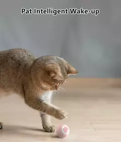 Imagem do 2 pçs gato bola interativa interior rolamento automático bola mágica inteligente gato brinquedos eletrônico interativo gato brinquedo gato jogo acessórios