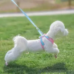 Ajustável Pet Harness Vest, filhote de cachorro respirável, coleira pequena e conjunto de trela, Chihuahua Chest Strap Stuff, novo - loja online