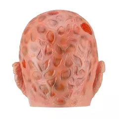 Imagem do Assassinos jason máscara chapéu garras freddy krueger filmes de terror assustador látex chapelaria cosplay para emulsão para trajes de festa de halloween