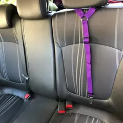 Sólido dois-em-um cinto de segurança do carro do animal de estimação trela de chumbo cinto de segurança do banco traseiro arnês ajustável para gatinho cães coleira acessórios para animais de estimação - comprar online