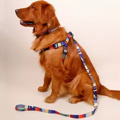 Conjunto de três peças de peito e arnês abstrato, padrão geométrico, emenda multicolorida, peito de animal de estimação e coleira de arnês com 1 peça - loja online