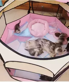 Octogonal Folding Pet Tent, Dog House, Camping Acessórios, Cerca, cercadinho ao ar livre, Puppy Shelter - comprar online