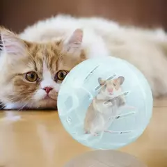 Correndo Exercício Ball para Hamster, Roda para Hamsters, Correr, Seguro, Urso Dourado - loja online
