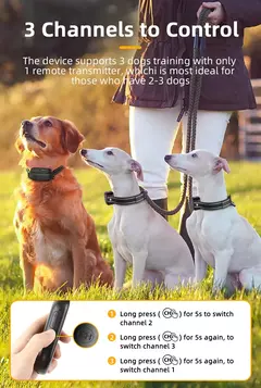 ROJECO-Elétrica Dog Training Collar, Digital recarregável, controle remoto, IPX7 impermeável Vibrador, Pet Dog Bark, Stop Shock Collar - comprar online