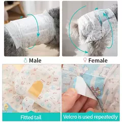 Imagem do Fralda para cachorro feminino, super absorção, calças fisiológicas menstruais para animais de estimação, fraldas à prova de vazamento, respirável, filhote de cachorro, suprimentos curtos para cães