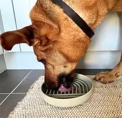 Suprimentos para animais de estimação tigela de comida lenta gato anti-queda tigela de comida antiderrapante filhote de cachorro anti-asfixia brinquedo de silicone placa de comida