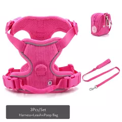 Coleira de cachorro personalizada, arnês para cães gravado, leve, veludo, designer, coleira e coleira, conjunto acolchoado, totalmente ajustável - Wolf Magazine