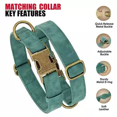 Ajustável coleira de couro PU e trela, durável pet coleiras, chumbo corda, colar macio, pequeno, médio, cães grandes, buldogue