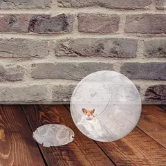 Bolas running plásticas para Chinchilla, roda do exercício do coelho, brinquedo do hamster, bola anã - comprar online