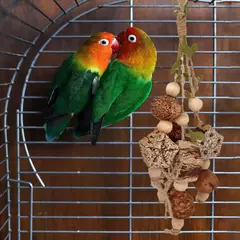 Corda de Pássaro Mastigando Brinquedo para Periquitos, Mordida Treinamento Gaiola, Perch Rasgando, Agapornis, Budgie Cacatuas Conures, Periquitos, Suprimentos de Mordida - Wolf Magazine