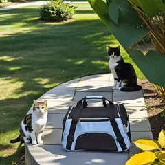 Sacos de gato portátil saco de transporte do cão malha respirável sacos de transporte para cães pequenos dobrável gatos bolsa de viagem saco de transporte para animais de estimação na internet