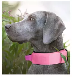 Coleira grande para cães, coleira média e grande, durável, tática, ajustável, treinamento, pastor alemão, conjunto de suprimentos, acessórios na internet