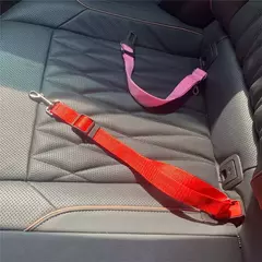 Cinto de segurança para carro e gato, acessórios para cães, arnês ajustável, trela de chumbo, clipe de viagem pequeno e médio, coleira para cachorro, itens para animais de estimação - Wolf Magazine
