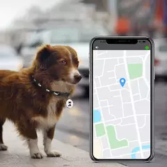 Imagem do Pet Compatível com Bluetooth Inteligente Wearable Anti-Lost GPS Tracker, localizador à prova d'água, Rastreamento em tempo real, cão, Cat Collar, encontrar dispositivo