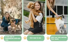 Engraçado portátil Recordable Pet Brinquedos, Brinquedos engraçados do cão, Viagem Falando Pet Starters, Falando Botões, Cute Pet Supplies - comprar online