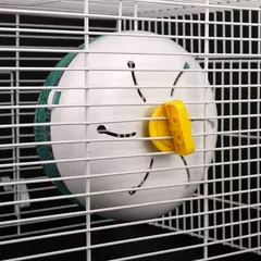 Brinquedo de disco de corrida para hamster, 3 tamanhos, silencioso, pequeno, roda de corrida rotativa, animais de estimação pequenos, roda esportiva, brinquedos, gaiola de hamster, acessórios na internet