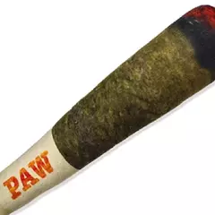 Cão interativo conjunta som filhote de cachorro brinquedos charuto para pequenos resistente rangido cães indestrutível cão de pelúcia mascar brinquedo pet mordida brinquedos - Wolf Magazine