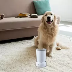 Pet pés lavadora elétrica pet pata limpador automático cão rápido baixo limpador pet pata portátil limpeza copo de ruído pé r3z8 - Wolf Magazine