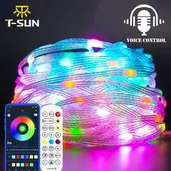 Guirlanda leve led com controle de aplicativos, luz ao ar livre, luzes de fadas, para o natal, feriado, festa, decoração de aniversário, 5m, 10m, 15m, 20m, 40m - Wolf Magazine