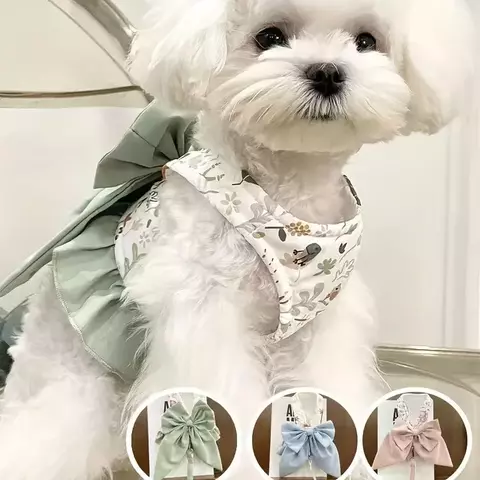Cães arnês e usa colares coleira para cães coleira para animais de estimação coisas para gatos filhote de cachorro acessórios trela conjunto coleiras coletes