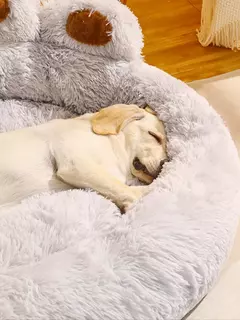 Cama de cachorro fofa, canil de pelúcia, acessórios para animais de estimação, produtos para cães grandes, cama, sofá, cesta, tapete pequeno, gatos, almofada grande, filhote de cachorro, animais de estimação - comprar online