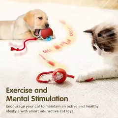 Brinquedo interativo de bola de gato, bola de rolamento automática com cauda, brinquedo interativo inteligente recarregável para animais de estimação, mouse inteligente para gato - comprar online