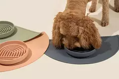 Suprimentos para animais de estimação tigela de comida lenta gato anti-queda tigela de comida antiderrapante filhote de cachorro anti-asfixia brinquedo de silicone placa de comida - comprar online