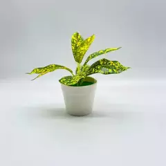 Decorações De Plantas Em Vaso De Falso, Prateleiras Artificiais, Casa, Sala, Jardim, Escritório, Casamento, Quarto, Banheiro, Cena Acessórios - comprar online
