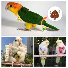 Papagaio pombo fralda terno de vôo pássaro fralda papagaio roupas para bochecha verde periquito cockatiel conure pequenos pássaros médios na internet