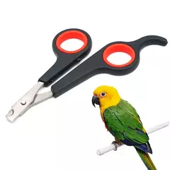 Animal de estimação pássaro papagaio pequenos animais acessório ferramenta aliciamento tesoura cortador preto e vermelho