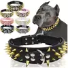 Conjunto de coleira e coleira para cachorro com pontas, coleira de couro com rebite ajustável para caminhada ao ar livre