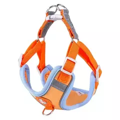 Conjunto de coleira para cães, coleira reflexiva ajustável, coleira para cães pequenos e médios, acessórios para cachorros, pomerânia - loja online