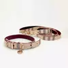 Coleira e coleira para animais de estimação conjunto de couro moda coleiras ajustáveis para cães suprimentos para animais de estimação coleiras para cães médios e grandes presente para cães