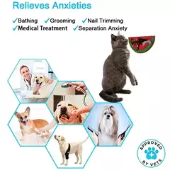 Adequado para animais de estimação pesando menos de 3 quilogramas esteira gatos tigelas de comida lenta ventosa alimentação alimentos silicone lamber, produto pequeno - comprar online