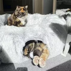 Cama de gato de pelúcia com túnel para gatos internos Cama de túnel de gato multifuncional com olho mágico Cama de gato de rosquinha fofa com túnel na internet