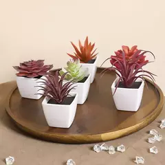 Mini suculenta artificial planta verde plástico Wwhite bacia, Home Window Sill, Restaurante Desktop Bookshelf Decoração, 6pcs por conjunto - loja online
