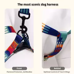 Conjunto de três peças de peito e arnês abstrato, padrão geométrico, emenda multicolorida, peito de animal de estimação e coleira de arnês com 1 peça na internet