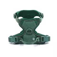 Coleira de cachorro personalizada, arnês para cães gravado, leve, veludo, designer, coleira e coleira, conjunto acolchoado, totalmente ajustável na internet