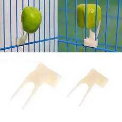 Acessórios de alimentação para animais de estimação, 1 peça, pássaros, papagaios, garfo de frutas, suprimentos para animais de estimação, suporte de comida de plástico, alimentação na gaiola, suprimentos para animais de estimação - Wolf Magazine
