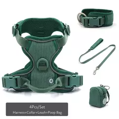 Imagem do Coleira de cachorro personalizada, arnês para cães gravado, leve, veludo, designer, coleira e coleira, conjunto acolchoado, totalmente ajustável