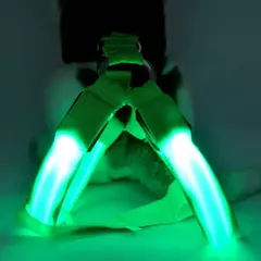Nylon pet segurança led arnês trela conjunto cão ajustável piscando luz arnês trela corda cinto colar colete para cães suprimentos para animais de estimação na internet