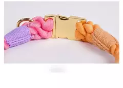 Coleira de cachorro arco-íris para animais de estimação, coleira para treinamento de caminhada com fivela de metal para cinto grande, médio e pequeno, coleira de algodão para cães - Wolf Magazine