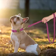 Imagem do Ajustável coleira de couro PU e trela, durável pet coleiras, chumbo corda, colar macio, pequeno, médio, cães grandes, buldogue