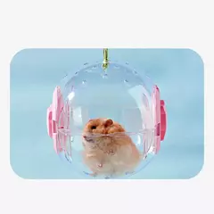 Imagem do Bola de exercício de hamster transparente, roda de bola de corrida com corda de tração para animais pequenos, suprimentos para animais de estimação 14cm/18/cm