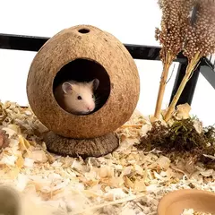 Casa de hamster resistente à mordida natural pequeno animal de estimação gaiolas de coco cobaia hamster esconderijo casa brinquedo casa de madeira suprimentos para animais de estimação - Wolf Magazine