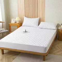 Capa de colchão grossa impermeável, protetor antiderrapante, tampa de cama macia para a pele, lavável à máquina, king e queen size - Wolf Magazine