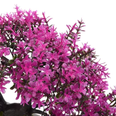 Imagem do Árvore Bonsai Artificial Para Decoração De Jardim, Planta Falsa, Flores, Enfeites Em Vaso, Pequeno, Casa, Sala, Mesa